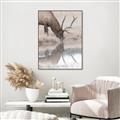 Picture of Elk in the Wild _GroupedProduct_Rectangle_Portrait_Photography _GroupedProduct_Rectangle_Portrait_Canvas_Framed_