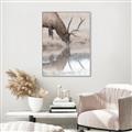 Picture of Elk in the Wild _GroupedProduct_Rectangle_Portrait_Photography _GroupedProduct_Rectangle_Portrait_Canvas_Framed_