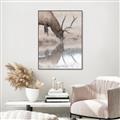 Picture of Elk in the Wild _GroupedProduct_Rectangle_Portrait_Photography _GroupedProduct_Rectangle_Portrait_Canvas_Framed_