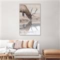 Picture of Elk in the Wild _GroupedProduct_Rectangle_Portrait_Photography _GroupedProduct_Rectangle_Portrait_Canvas_Framed_