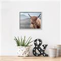 Picture of Furry highland cow _GroupedProduct_Rectangle_Landscape_Photography _GroupedProduct_Rectangle_Landscape_Canvas_Framed_
