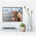 Picture of Furry highland cow _GroupedProduct_Rectangle_Landscape_Photography _GroupedProduct_Rectangle_Landscape_Canvas_Framed_