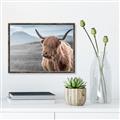 Picture of Furry highland cow _GroupedProduct_Rectangle_Landscape_Photography _GroupedProduct_Rectangle_Landscape_Canvas_Framed_