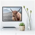 Picture of Furry highland cow _GroupedProduct_Rectangle_Landscape_Photography _GroupedProduct_Rectangle_Landscape_Canvas_Framed_