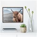 Picture of Furry highland cow _GroupedProduct_Rectangle_Landscape_Photography _GroupedProduct_Rectangle_Landscape_Canvas_Framed_