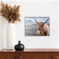 Picture of Furry highland cow _GroupedProduct_Rectangle_Landscape_Photography _GroupedProduct_Rectangle_Landscape_Canvas_Framed_
