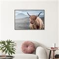 Picture of Furry highland cow _GroupedProduct_Rectangle_Landscape_Photography _GroupedProduct_Rectangle_Landscape_Canvas_Framed_