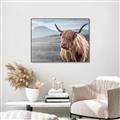 Picture of Furry highland cow _GroupedProduct_Rectangle_Landscape_Photography _GroupedProduct_Rectangle_Landscape_Canvas_Framed_