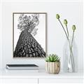 Picture of The Tree _GroupedProduct_Rectangle_Portrait_Photography _GroupedProduct_Rectangle_Portrait_Canvas_Framed_