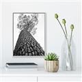 Picture of The Tree _GroupedProduct_Rectangle_Portrait_Photography _GroupedProduct_Rectangle_Portrait_Canvas_Framed_