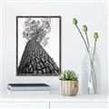 Picture of The Tree _GroupedProduct_Rectangle_Portrait_Photography _GroupedProduct_Rectangle_Portrait_Canvas_Framed_