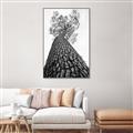 Picture of The Tree _GroupedProduct_Rectangle_Portrait_Photography _GroupedProduct_Rectangle_Portrait_Canvas_Framed_