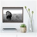 Picture of The Lion King _GroupedProduct_Rectangle_Landscape_Photography _GroupedProduct_Rectangle_Landscape_Canvas_Framed_