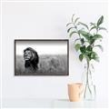 Picture of The Lion King _GroupedProduct_Rectangle_Landscape_Photography _GroupedProduct_Rectangle_Landscape_Canvas_Framed_