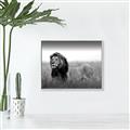 Picture of The Lion King _GroupedProduct_Rectangle_Landscape_Photography _GroupedProduct_Rectangle_Landscape_Canvas_Framed_