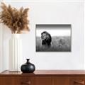 Picture of The Lion King _GroupedProduct_Rectangle_Landscape_Photography _GroupedProduct_Rectangle_Landscape_Canvas_Framed_