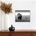 Picture of The Lion King _GroupedProduct_Rectangle_Landscape_Photography _GroupedProduct_Rectangle_Landscape_Canvas_Framed_