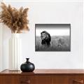 Picture of The Lion King _GroupedProduct_Rectangle_Landscape_Photography _GroupedProduct_Rectangle_Landscape_Canvas_Framed_