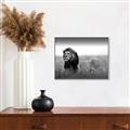 Picture of The Lion King _GroupedProduct_Rectangle_Landscape_Photography _GroupedProduct_Rectangle_Landscape_Canvas_Framed_