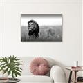Picture of The Lion King _GroupedProduct_Rectangle_Landscape_Photography _GroupedProduct_Rectangle_Landscape_Canvas_Framed_