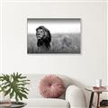 Picture of The Lion King _GroupedProduct_Rectangle_Landscape_Photography _GroupedProduct_Rectangle_Landscape_Canvas_Framed_