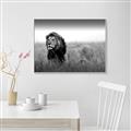 Picture of The Lion King _GroupedProduct_Rectangle_Landscape_Photography _GroupedProduct_Rectangle_Landscape_Canvas_Framed_