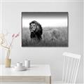 Picture of The Lion King _GroupedProduct_Rectangle_Landscape_Photography _GroupedProduct_Rectangle_Landscape_Canvas_Framed_