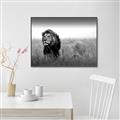 Picture of The Lion King _GroupedProduct_Rectangle_Landscape_Photography _GroupedProduct_Rectangle_Landscape_Canvas_Framed_
