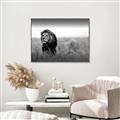 Picture of The Lion King _GroupedProduct_Rectangle_Landscape_Photography _GroupedProduct_Rectangle_Landscape_Canvas_Framed_