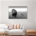 Picture of The Lion King _GroupedProduct_Rectangle_Landscape_Photography _GroupedProduct_Rectangle_Landscape_Canvas_Framed_