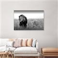 Picture of The Lion King _GroupedProduct_Rectangle_Landscape_Photography _GroupedProduct_Rectangle_Landscape_Canvas_Framed_