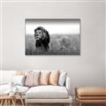 Picture of The Lion King _GroupedProduct_Rectangle_Landscape_Photography _GroupedProduct_Rectangle_Landscape_Canvas_Framed_