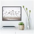 Picture of Seagulls flying on a rainy day _GroupedProduct_Rectangle_Landscape_Photography _GroupedProduct_Rectangle_Landscape_Canvas_Framed_