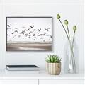 Picture of Seagulls flying on a rainy day _GroupedProduct_Rectangle_Landscape_Photography _GroupedProduct_Rectangle_Landscape_Canvas_Framed_