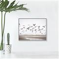Picture of Seagulls flying on a rainy day _GroupedProduct_Rectangle_Landscape_Photography _GroupedProduct_Rectangle_Landscape_Canvas_Framed_