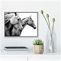 Picture of Brothers _GroupedProduct_Rectangle_Landscape_Photography _GroupedProduct_Rectangle_Landscape_Canvas_Framed_