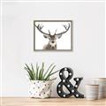 Picture of Deer Antler _GroupedProduct_Rectangle_Landscape_Photography _GroupedProduct_Rectangle_Landscape_Canvas_Framed_