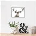Picture of Deer Antler _GroupedProduct_Rectangle_Landscape_Photography _GroupedProduct_Rectangle_Landscape_Canvas_Framed_
