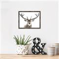 Picture of Deer Antler _GroupedProduct_Rectangle_Landscape_Photography _GroupedProduct_Rectangle_Landscape_Canvas_Framed_