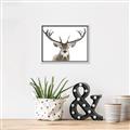 Picture of Deer Antler _GroupedProduct_Rectangle_Landscape_Photography _GroupedProduct_Rectangle_Landscape_Canvas_Framed_