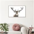 Picture of Deer Antler _GroupedProduct_Rectangle_Landscape_Photography _GroupedProduct_Rectangle_Landscape_Canvas_Framed_