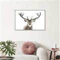 Picture of Deer Antler _GroupedProduct_Rectangle_Landscape_Photography _GroupedProduct_Rectangle_Landscape_Canvas_Framed_
