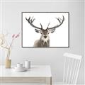 Picture of Deer Antler _GroupedProduct_Rectangle_Landscape_Photography _GroupedProduct_Rectangle_Landscape_Canvas_Framed_