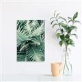 Picture of Green Ferns _GroupedProduct_Rectangle_Portrait_Photography _GroupedProduct_Rectangle_Portrait_Unframed_Print_Only_
