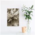 Picture of Green Ferns _GroupedProduct_Rectangle_Portrait_Photography _GroupedProduct_Rectangle_Portrait_Unframed_Print_Only_