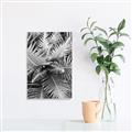 Picture of Green Ferns _GroupedProduct_Rectangle_Portrait_Photography _GroupedProduct_Rectangle_Portrait_Unframed_Print_Only_