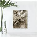 Picture of Green Ferns _GroupedProduct_Rectangle_Portrait_Photography _GroupedProduct_Rectangle_Portrait_Unframed_Print_Only_
