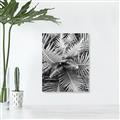 Picture of Green Ferns _GroupedProduct_Rectangle_Portrait_Photography _GroupedProduct_Rectangle_Portrait_Unframed_Print_Only_