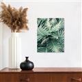 Picture of Green Ferns _GroupedProduct_Rectangle_Portrait_Photography _GroupedProduct_Rectangle_Portrait_Unframed_Print_Only_