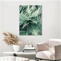 Picture of Green Ferns _GroupedProduct_Rectangle_Portrait_Photography _GroupedProduct_Rectangle_Portrait_Unframed_Print_Only_